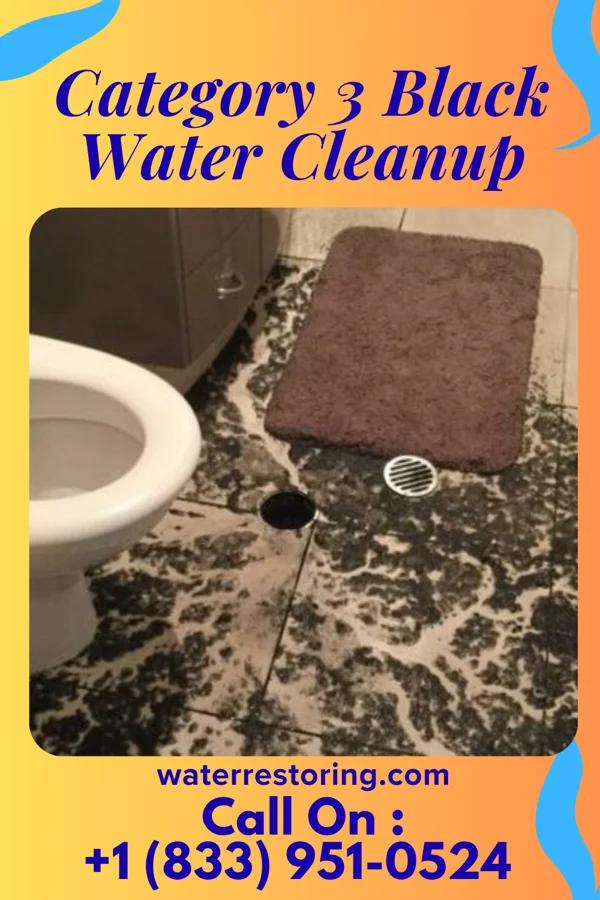 Category 3 Black Water Cleanup in Egg Harbor, WI