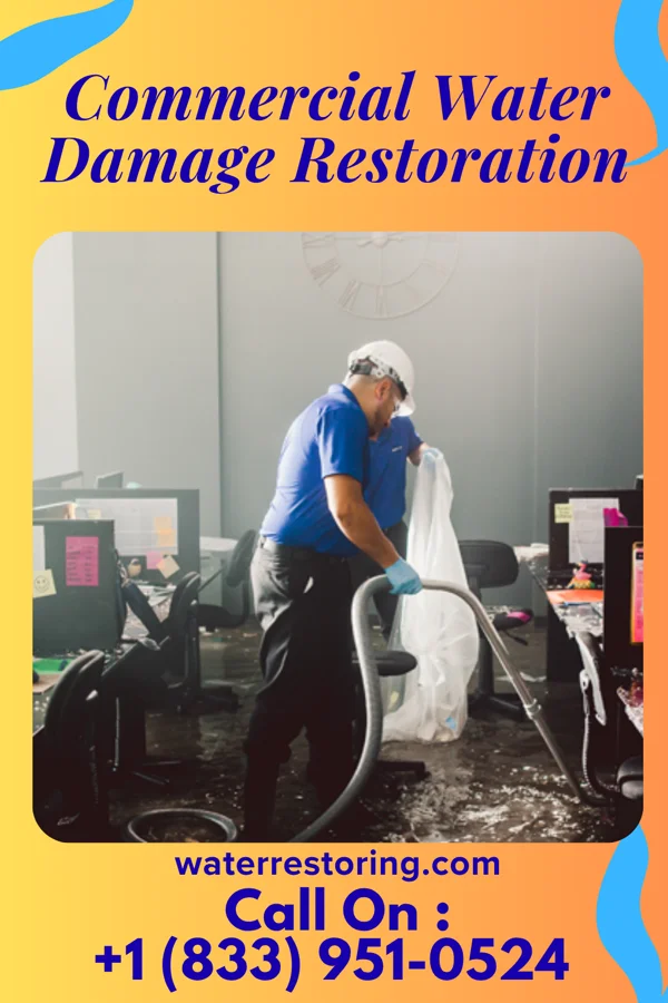 Commercial Water Damage Restoration in Egg Harbor, WI