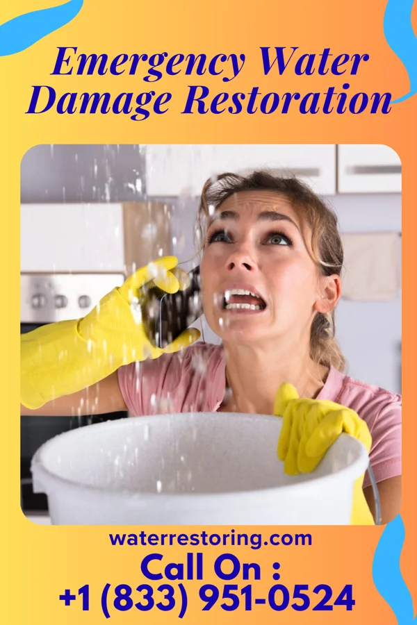 Emergency Water Damage Restoration in Egg Harbor, WI