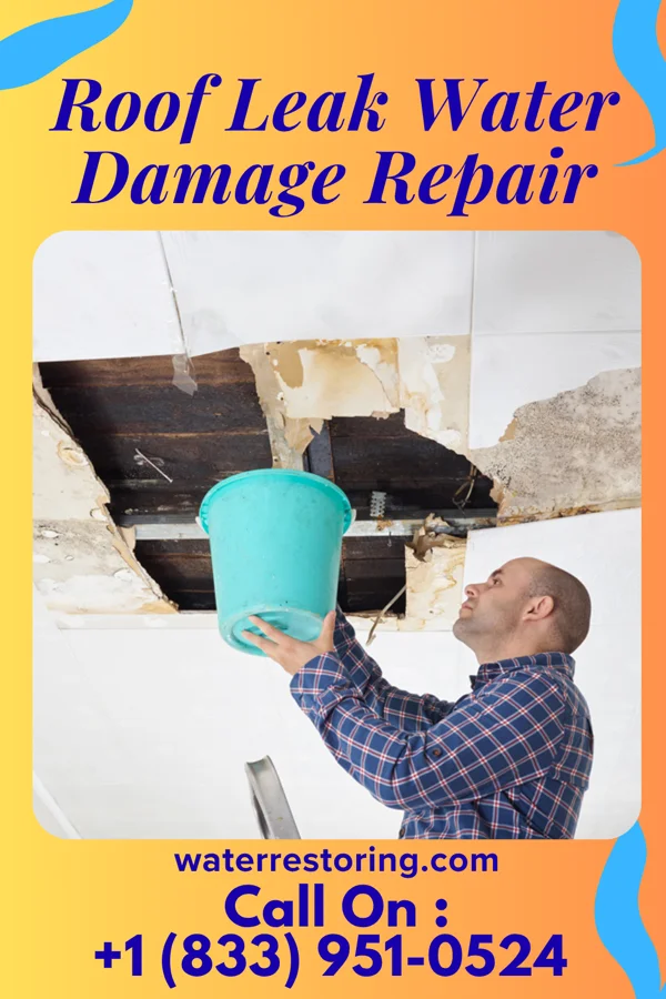 Roof Leak Water Damage Repair in Egg Harbor, WI