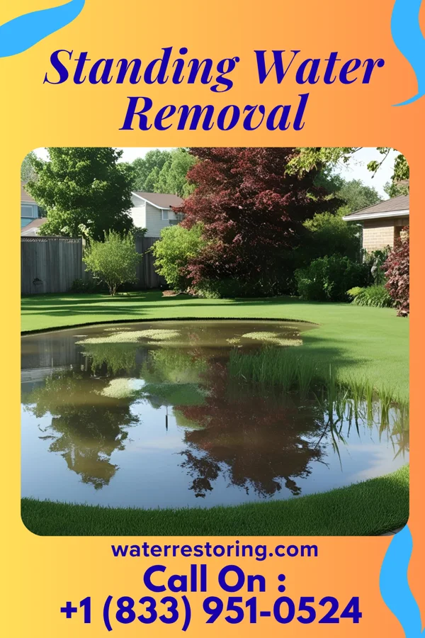 Standing Water Removal in Egg Harbor, WI